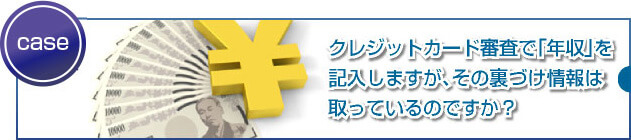 クレジットカード会社に嘘の年収を申告しても大丈夫なの?